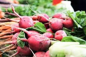 Image result for root-tail