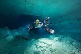 Image result for Mole Valley Sub Aqua Club