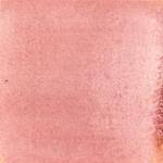 Attēlu rezultāti vaicājumam “Pycnoporellus alboluteus”