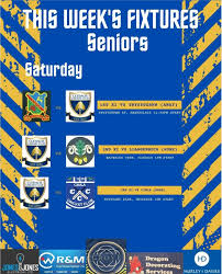 Image result for Ynysygerwn Cricket Club