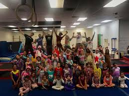 Image result for Acrobrats