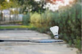 Image result for Pickley Green Panthers Junior Badminton Club