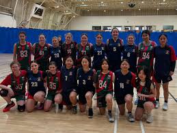 Image result for Biddick Sports College Community Gymnastics Club