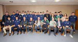 Image result for Causeway Hurling Club