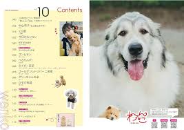 Image result for あめくん遺品030