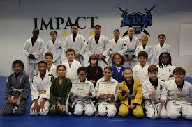 Image result for Impact Martial Arts