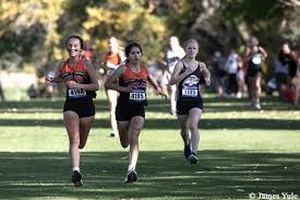 Image result for Westerlands Cross Country Club