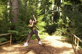 Image result for The Go Ape Experience (Swinley Forest)