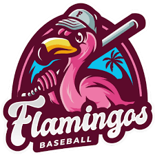 Image result for Flamingo Cricket Club