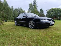 Image result for calibra DTM