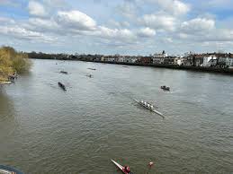 Image result for Bedford Modern Rowing Club