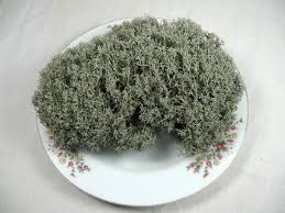 Attēlu rezultāti vaicājumam “Cladonia rangiferina”