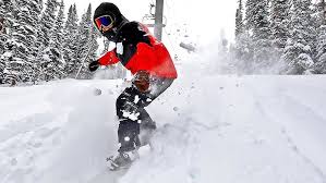 Image result for skiptondivers