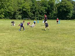 Image result for Shepherdswell Cricket Club