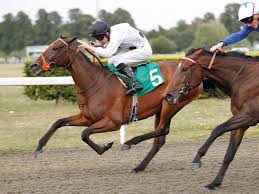 Image result for Elite Racing Club