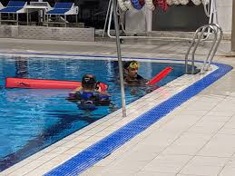 Image result for Meadurst Sub-Aqua Club