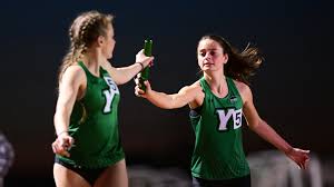 Image result for Paragons Netball Club