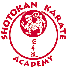 Image result for Shotokan Karate
