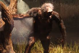 Image result for lucy