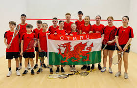 Image result for Salisbury Junior Badminton Club