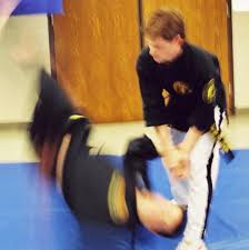 Image result for Synergy Tae Kwon Do