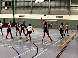Image result for Blue Jays Netball Club
