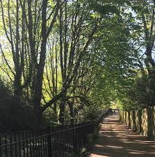 Image result for North London Bowling Club