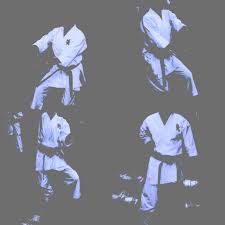 Image result for Goju.co.uk