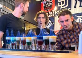 Image result for Southampton Stags