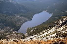 Image result for Dearne Valley Devils