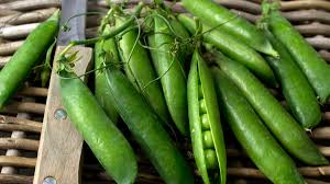 Image result for Erbsen