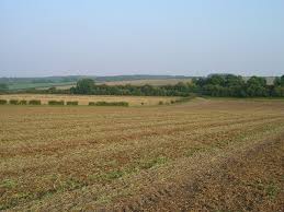 Image result for Middleton On The Wolds Bowling Club