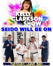 Image result for Aylesbury Vale Seido Karate