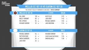 Image result for Mellis Cricket Club