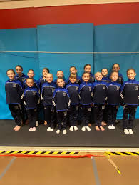 Image result for Monarchs Sports Acrobatics Club