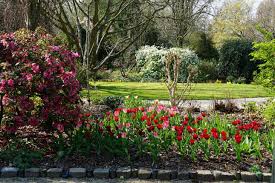 Image result for Arboretum Trompenburg