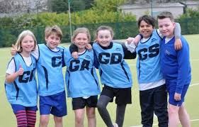 Image result for Farnham Netball Club