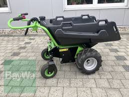 Image result for etesia tehron