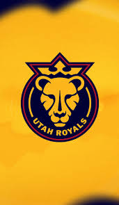 Image result for Phoenix Royals F C