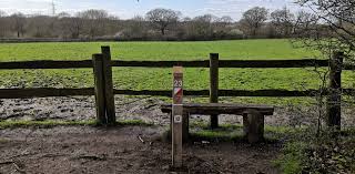 Image result for Guildford Orienteers