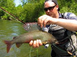 Image result for рыбалка