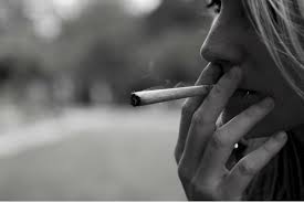 Image result for True stiners