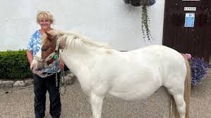 Image result for Porlock Vale Riding School