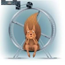 Картинки по запросу белку зажевало в диск