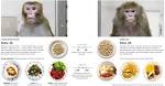 The New York Times > Health > Image > Calorie Restriction vs ...