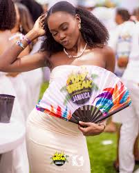 Image result for Weezadivers