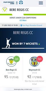 Image result for Bere Regis Skittles Club