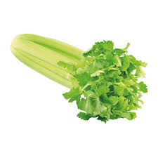 Image result for Sellerie