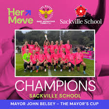 Image result for East Grinstead Town Football Club