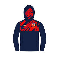 Image result for Halesowen Cricket Club